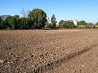 Venta Parcela Melipilla Chiñigue El Cristo - Camino Antiguo a Melipilla