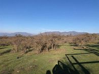 Venta Agricola Melipilla Codigua - Melipilla